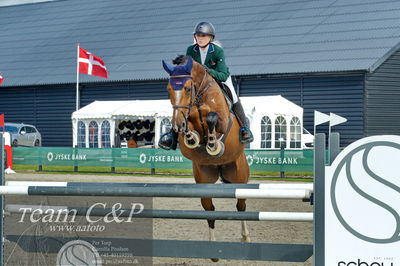 Absolut horses
la2 120cm
Nøgleord: astrid lund wisholm;baleice
