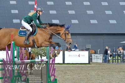 Absolut horses
la2 120cm
Nøgleord: astrid lund wisholm;baleice