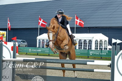 Absolut horses
la2 120cm
Nøgleord: mette askham jensen;rockchester