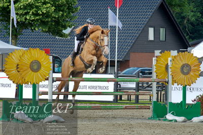 Absolut horses
la2 120cm
Nøgleord: mette askham jensen;rockchester