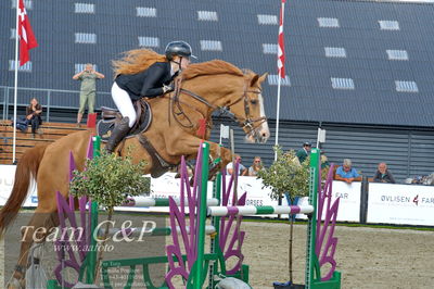 Absolut horses
la2 120cm
Nøgleord: mette askham jensen;rockchester