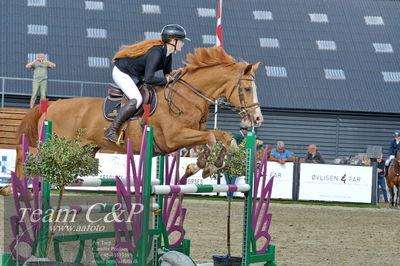Absolut horses
la2 120cm
Nøgleord: mette askham jensen;rockchester
