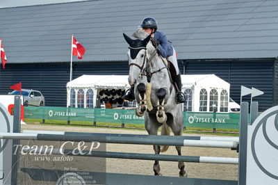 Absolut horses
la2 120cm
Nøgleord: julia c foss;tekanava ask