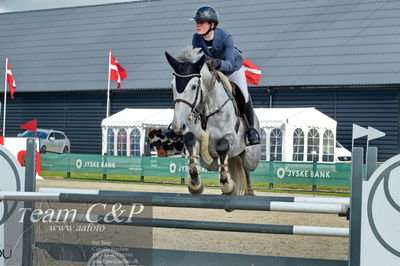 Absolut horses
la2 120cm
Nøgleord: julia c foss;tekanava ask