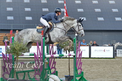 Absolut horses
la2 120cm
Nøgleord: julia c foss;tekanava ask