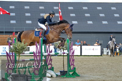 Absolut horses
la2 120cm
Nøgleord: olivia nedergaard;herre