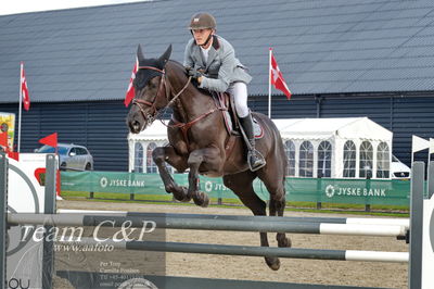 Absolut horses
la2 120cm
Nøgleord: ian fives;eliott max droeshout z