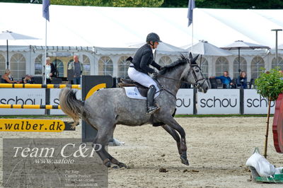 Absolut horses
la2 120cm
Nøgleord: thea glitrup;favour ev