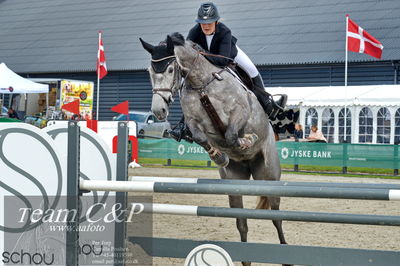 Absolut horses
la2 120cm
Nøgleord: thea glitrup;favour ev