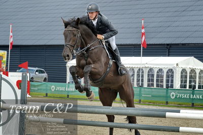 Absolut horses
la2 120cm
Nøgleord: torben frandsen;lavion 3
