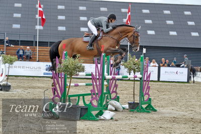 Absolut horses
la2 120cm
