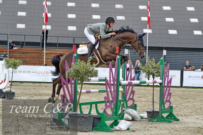 Absolut horses
la2 120cm
Nøgleord: emilie louise weilsby;filou prydsholm