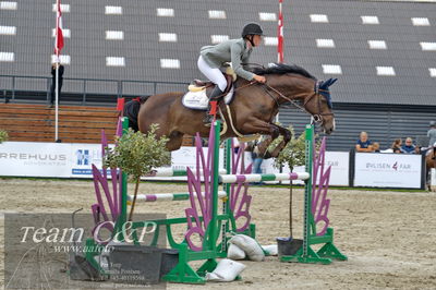 Absolut horses
la2 120cm
Nøgleord: emilie louise weilsby;filou prydsholm