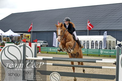 Absolut horses
la2 120cm
Nøgleord: mette askham jensen;rochester