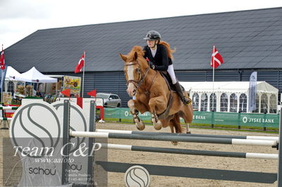 Absolut horses
la2 120cm
Nøgleord: mette askham jensen;rochester