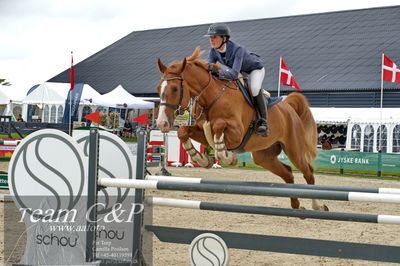 Absolut horses
la2 120cm
Nøgleord: julia c foss;bendixen&#039;s capish