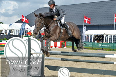 Absolut horses
la2 120cm
Nøgleord: torben frandsen;lavion 3