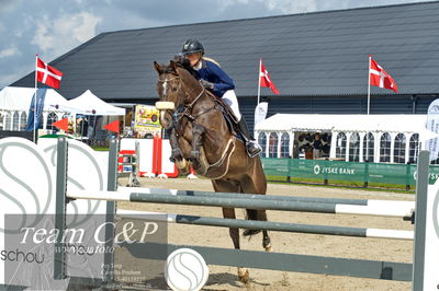 Absolut horses
la2 120cm
Nøgleord: rasmine laudrup;clear fight