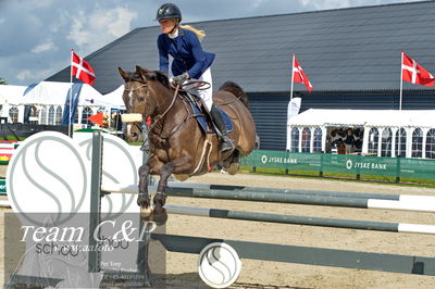 Absolut horses
la2 120cm
Nøgleord: rasmine laudrup;clear fight