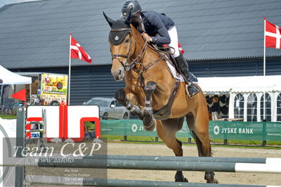 Absolut horses
la2 120cm
Nøgleord: martina åhs;flyer