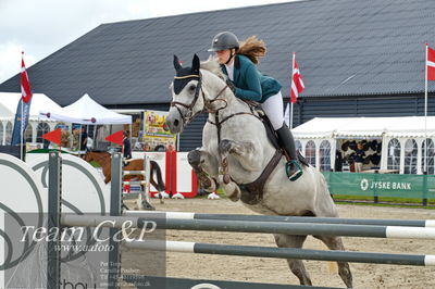 Absolut horses
la2 120cm
Nøgleord: linnea ildsøe madsen;medina-em