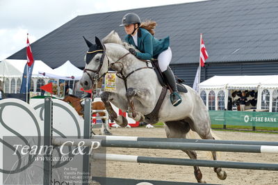 Absolut horses
la2 120cm
Nøgleord: linnea ildsøe madsen;medina-em