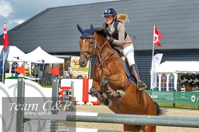 Absolut horses
la2 120cm
Nøgleord: clara roesgaard kristensen;cappucino pr