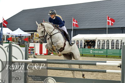 Absolut horses
la2 120cm
Nøgleord: rasmine laudrup;granato 4