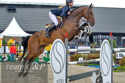 Absolut horses
2. kval og finale u 21
Nøgleord: thit bibi l royd;chacomo