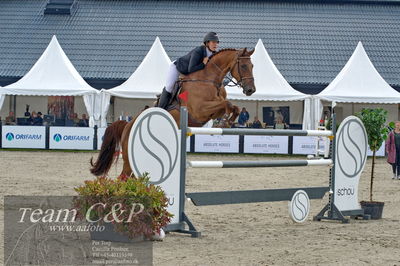 Absolut horses
2. kval og finale u 21
Nøgleord: anna victoria weilsby;quincy