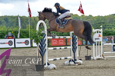 Absolut horses
2. kval og finale u 21
Nøgleord: kamilla ladefoged rasmussen;goldeneye