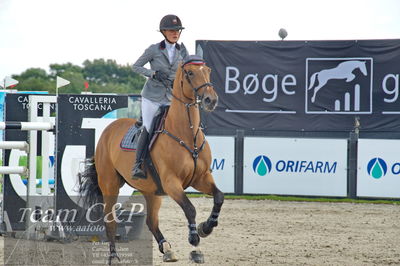 Absolut horses
2. kval og finale u 21
Nøgleord: phillappa w linde;choppine du bidou