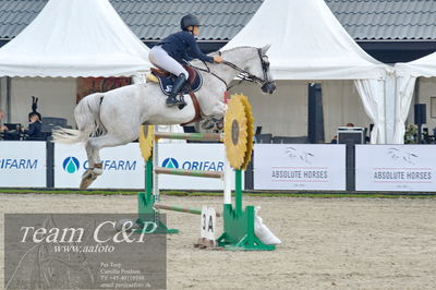 Absolut horses
2. kval og finale u 21
Nøgleord: rie rose lindegren roed;newcomer 13