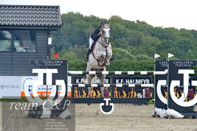Absolut horses
2. kval og finale u 21
Nøgleord: rie rose lindegren roed;newcomer 13