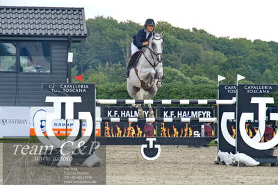Absolut horses
2. kval og finale u 21
Nøgleord: rie rose lindegren roed;newcomer 13