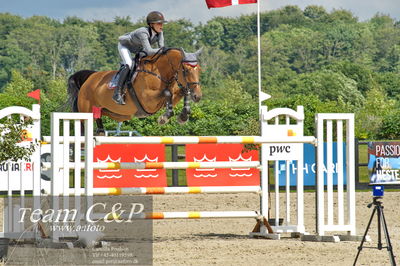 Absolut horses
2. kval og finale u 21
Nøgleord: phillappa w linde;choppine du bidou