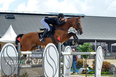 Absolut horses
2. kval og finale u 21
Nøgleord: maria barnewitz schou;seana 2