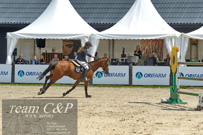 Absolut horses
2. kval og finale u 21
Nøgleord: maria barnewitz schou;seana 2