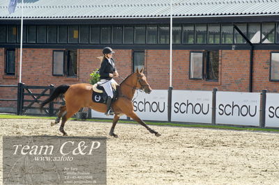 Absolut horses
2. kval og finale u 21
Nøgleord: maria barnewitz schou;seana 2