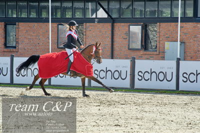 Absolut horses
2. kval og finale u 21
Nøgleord: maria barnewitz schou;seana 2;lap of honour;ceromoni