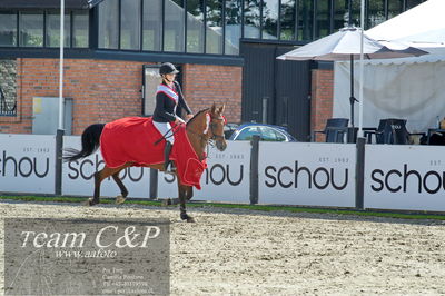 Absolut horses
2. kval og finale u 21
Nøgleord: maria barnewitz schou;seana 2;lap of honour;ceromoni
