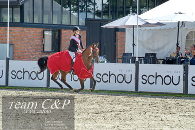 Absolut horses
2. kval og finale u 21
Nøgleord: maria barnewitz schou;seana 2;lap of honour;ceromoni