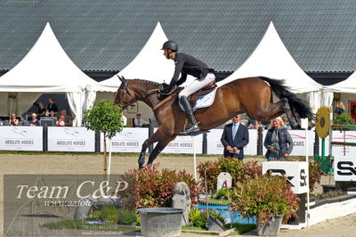 Absolut horses
2. kval. og finale Agria DRF Mesterskab U25 - S1 + S2 Springning Heste
Nøgleord: adam sparlund olesen;engerupgaards cashatt