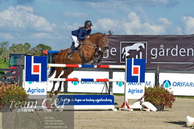 Absolut horses
2. kval. og finale Agria DRF Mesterskab U25 - S1 + S2 Springning Heste
Nøgleord: lærke olesen;bombay 36