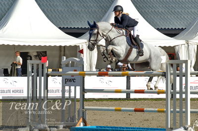 Absolut horses
2. kval. og finale Agria DRF Mesterskab U25 - S1 + S2 Springning Heste
Nøgleord: anne-kristine rie truelsen;cosma shiva s