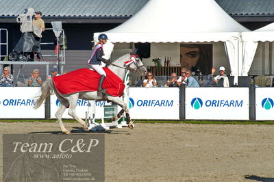 Absolut horses
2. kval. og finale Agria DRF Mesterskab U25 - S1 + S2 Springning Heste
Nøgleord: bennedikte rie truelsen;lap of honour;ceremoni