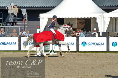 Absolut horses
2. kval. og finale Agria DRF Mesterskab U25 - S1 + S2 Springning Heste
Nøgleord: bennedikte rie truelsen;lap of honour;ceremoni