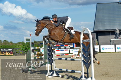 Absolut horses
S1 Springning Heste (145 cm) B1
Nøgleord: camilla fliedner ernst;horns rubin