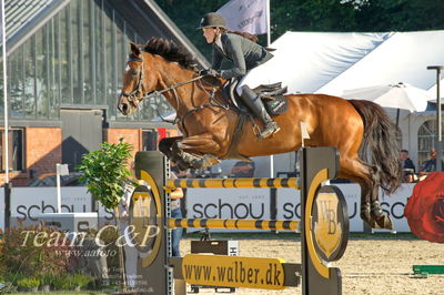 Absolut horses
S1 Springning Heste (145 cm) B1
Nøgleord: charlotte kondrup;dithmarsia