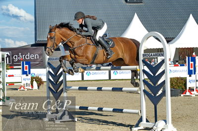 Absolut horses
S1 Springning Heste (145 cm) B1
Nøgleord: charlotte kondrup;dithmarsia